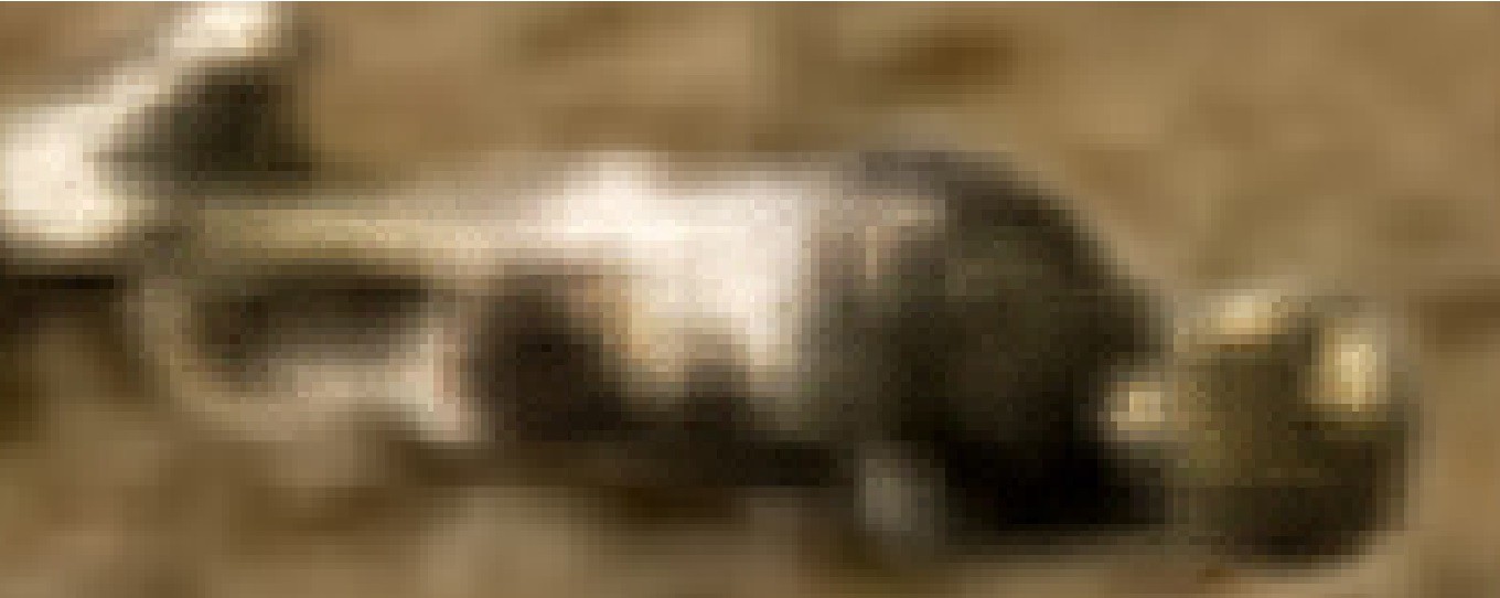 d7cac1c57b37.jpg
