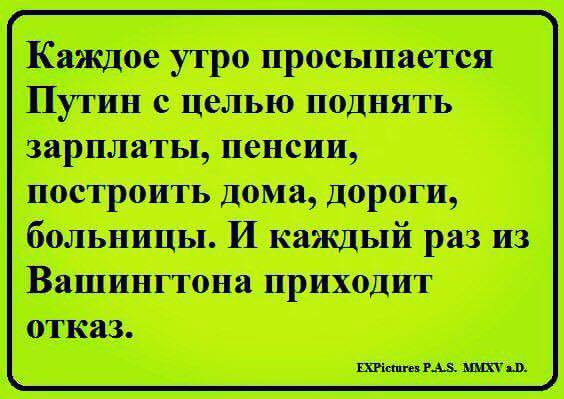 1658bd1c691e.jpg