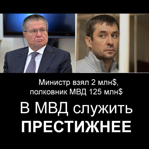 48a88cafcfbc.jpg