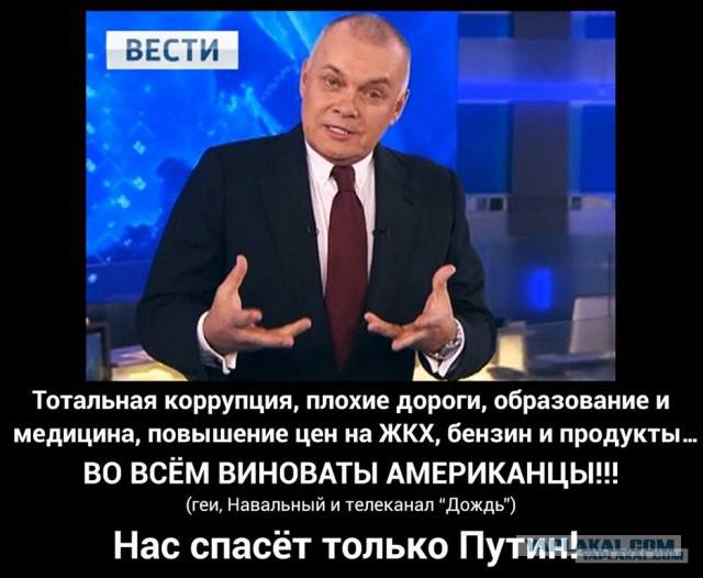 6d0d079cb67a.jpg