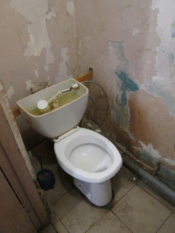 099575f35620.jpg