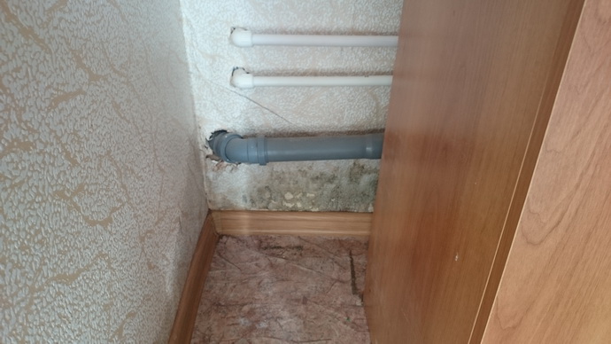590dbd327046.jpg