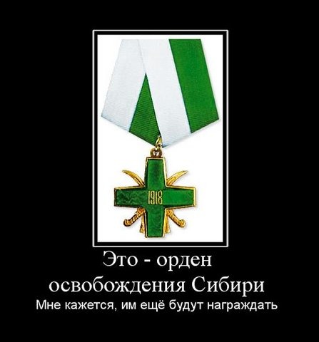 5cb6d7a7bcc6.jpg