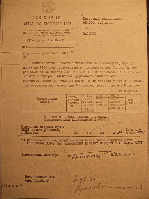 781f818b7158.jpg