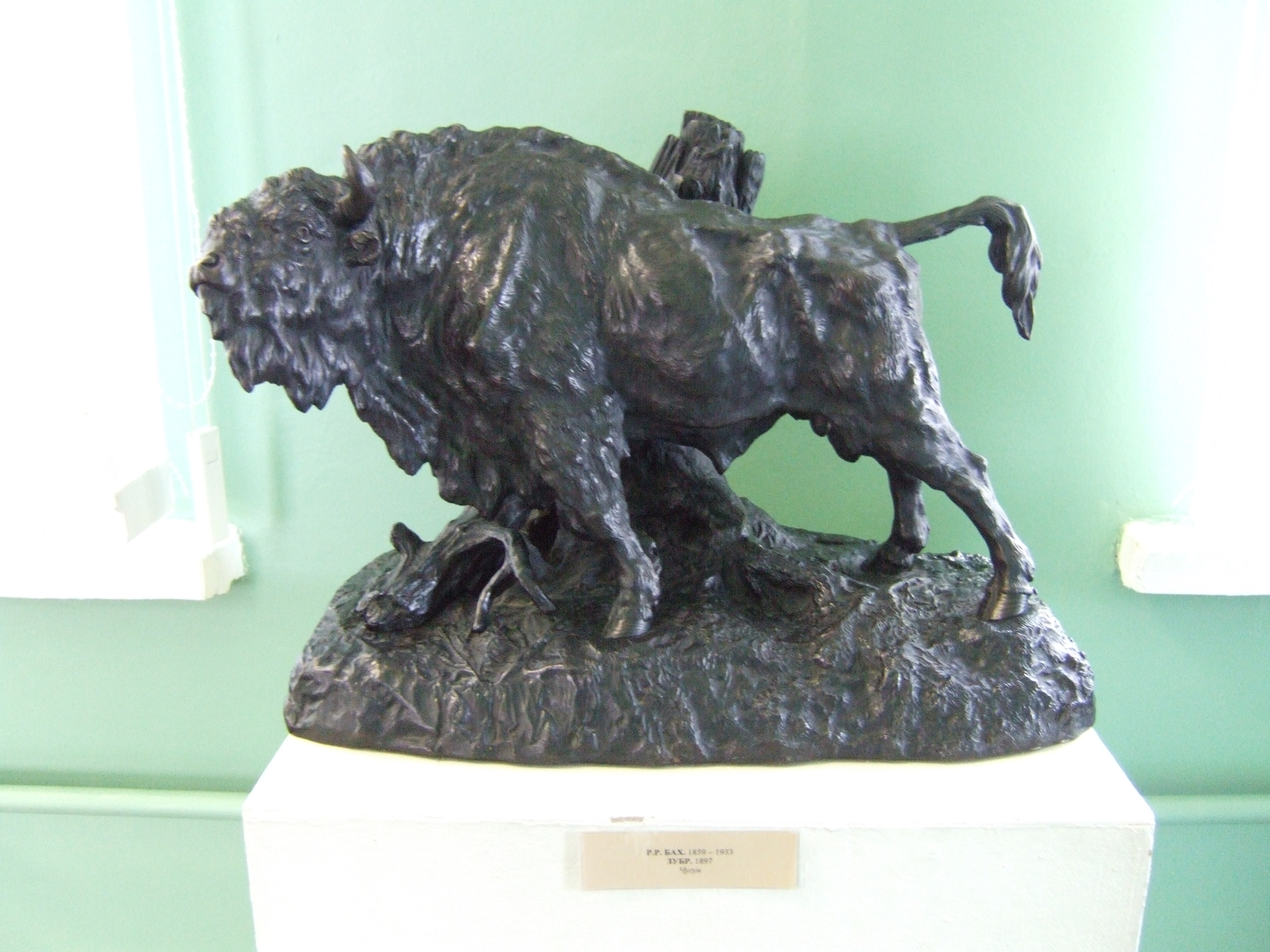 a2f02407e40e.jpg