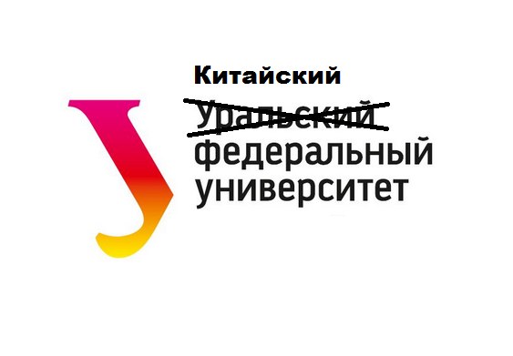 d384bcd1e64f.jpg