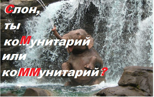1fc4ecf4d502.png