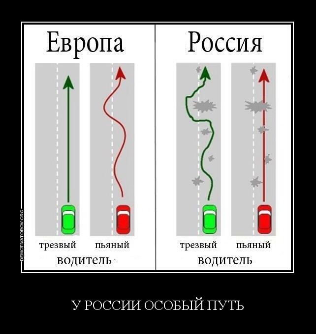 50438d67cfe8.jpg