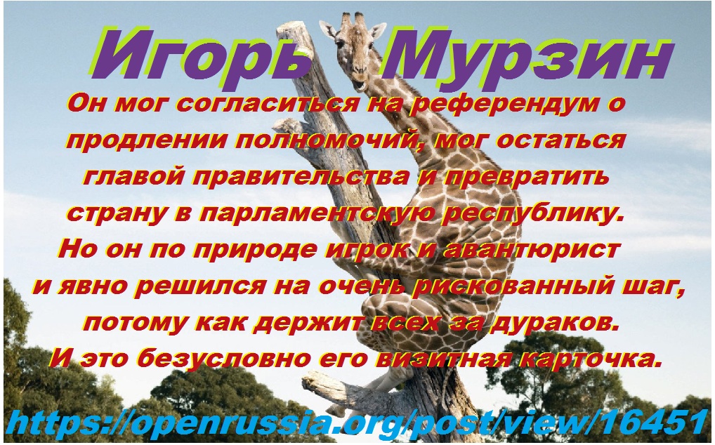 761c12b9a8e4.jpg