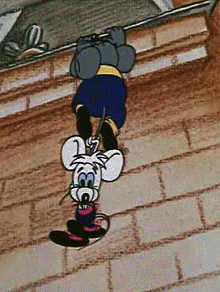 a5f24e712e7c.gif