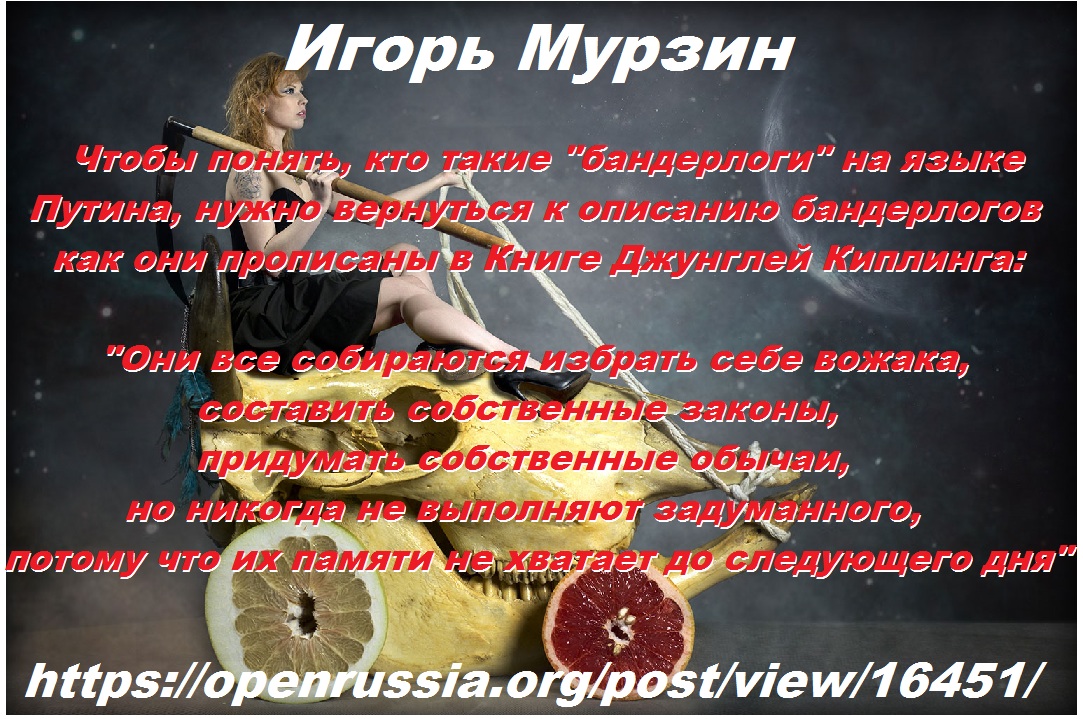 c61816dfbf7d.jpg
